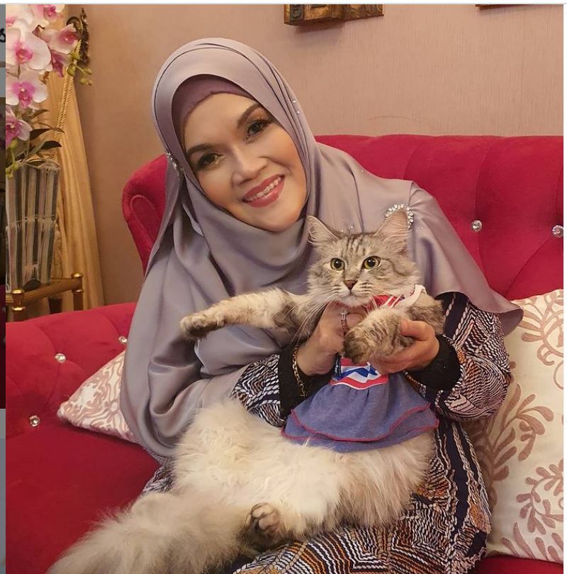 “请为我祈祷”.大马女歌手艾莎确诊冠病