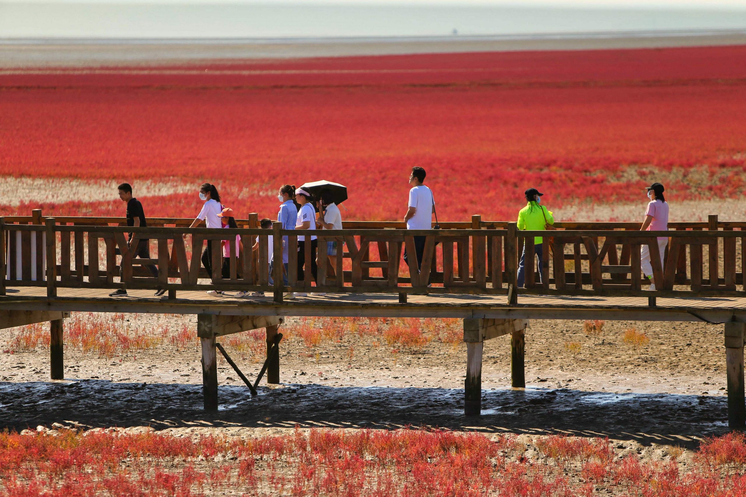 拼盘 2图 红海滩又红了