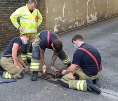 拼盘 2图/刺猬困排水管缝隙 救援员钻开混凝土解救