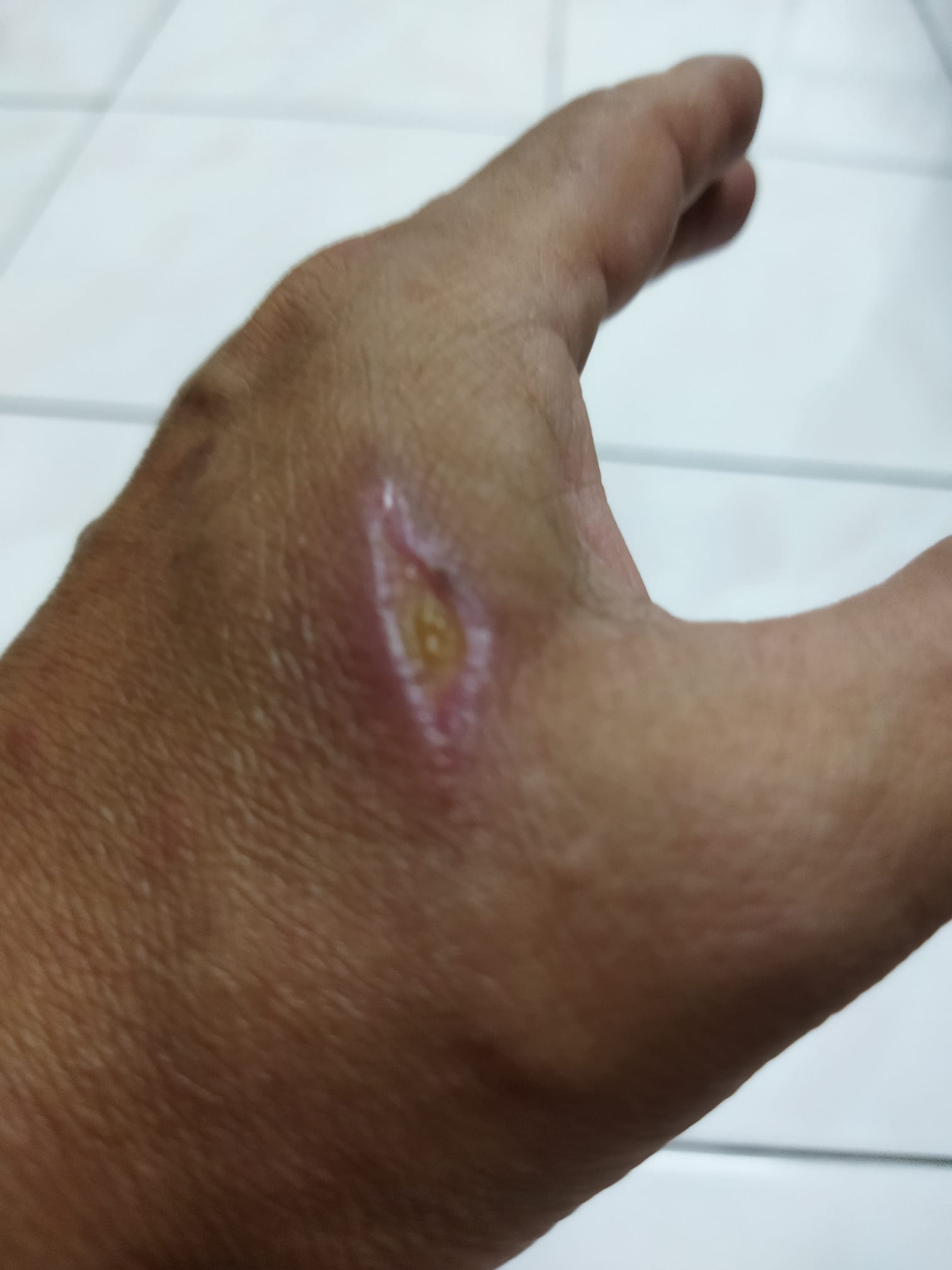 霹：★9月1日见报／封底主文／疫流而上| 卖肉扒饭直播卖海鲜 林少平疲惫仍咬紧牙关