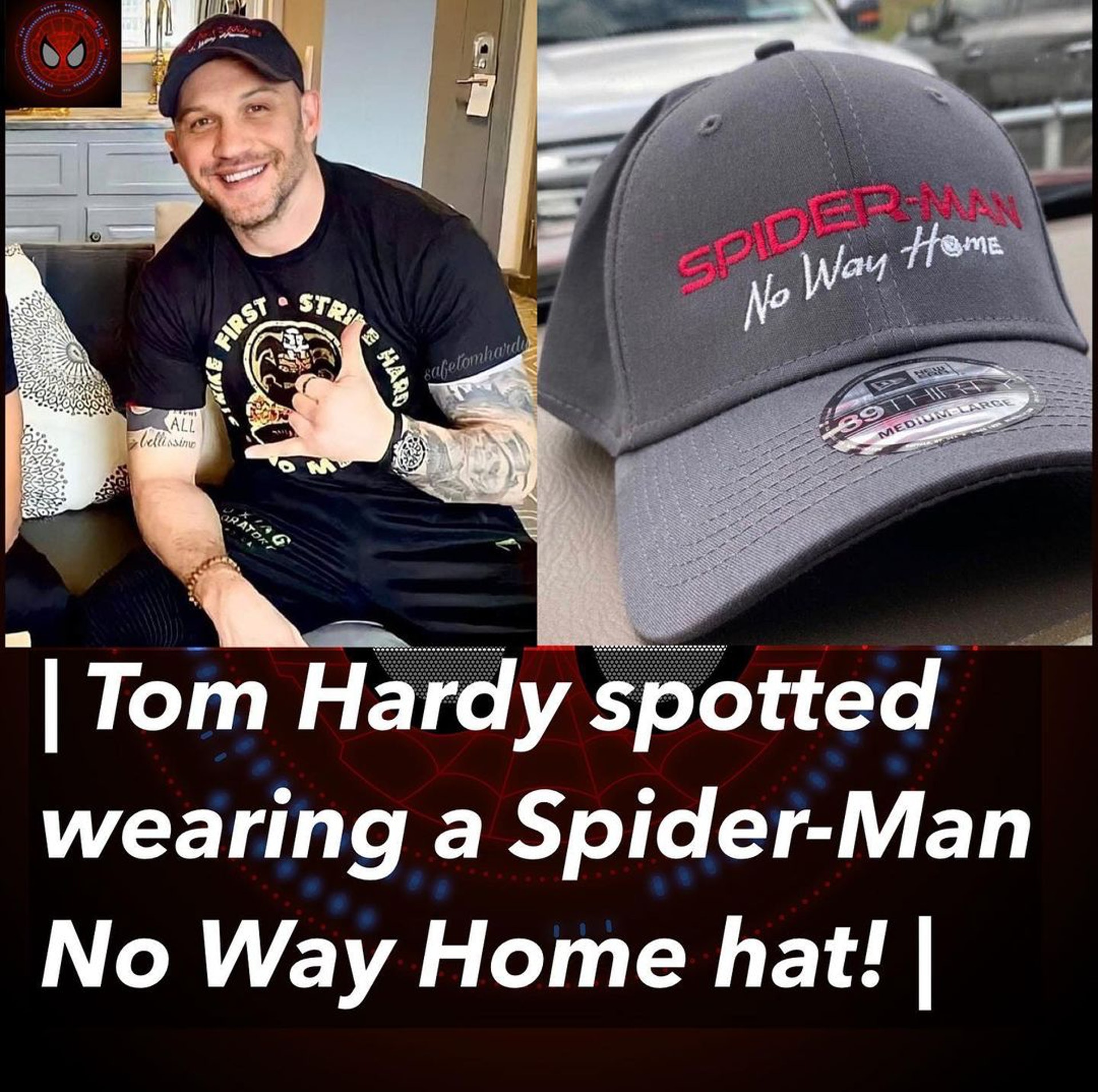 剧透了? 汤哈迪戴蜘蛛人帽子合照遭导演秒删