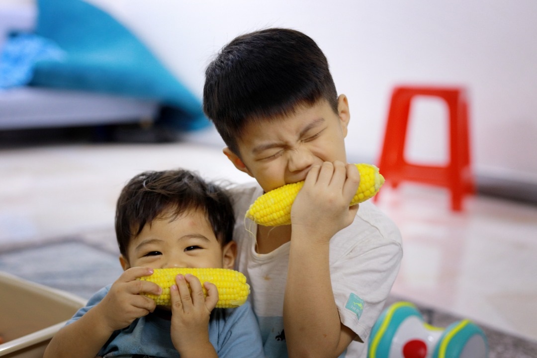 ★9月26日刊登／大霹雳封底主文／【周末画页】／玉蜀黍丰收 