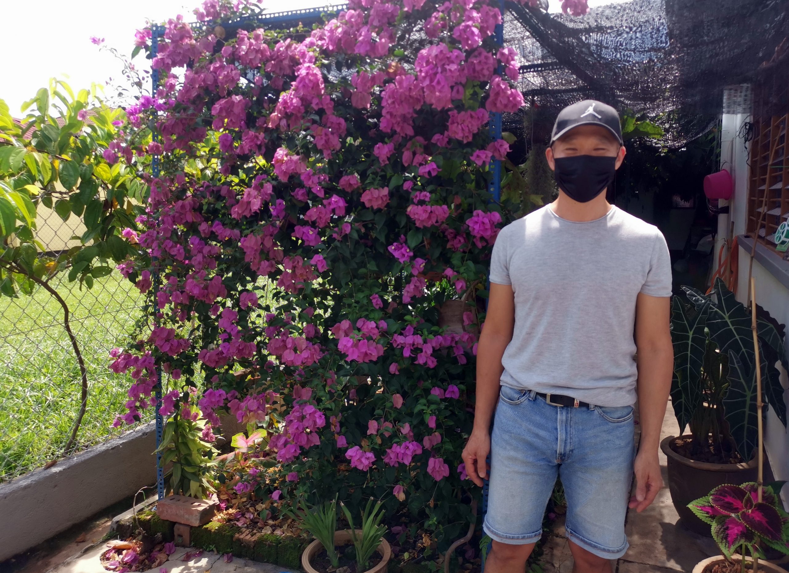 ★9月27日刊登/大霹雳封底主文/【农的传人】荷兰返乡照顾母亲 新村民宅荒地变后花园