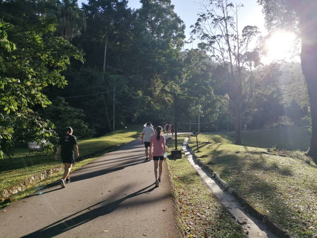 【大牌档】张丽珠/那园那人