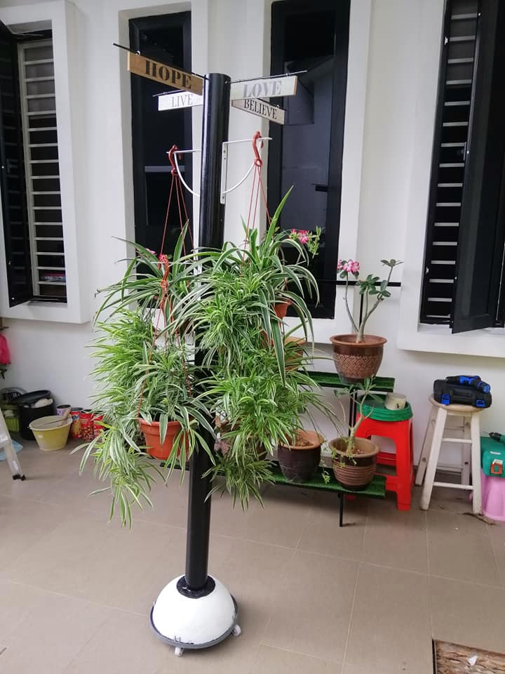 东：疫情期间学校不能开课，学生只能居家学习，食堂不能营业，致使业者在家种花打发时间。