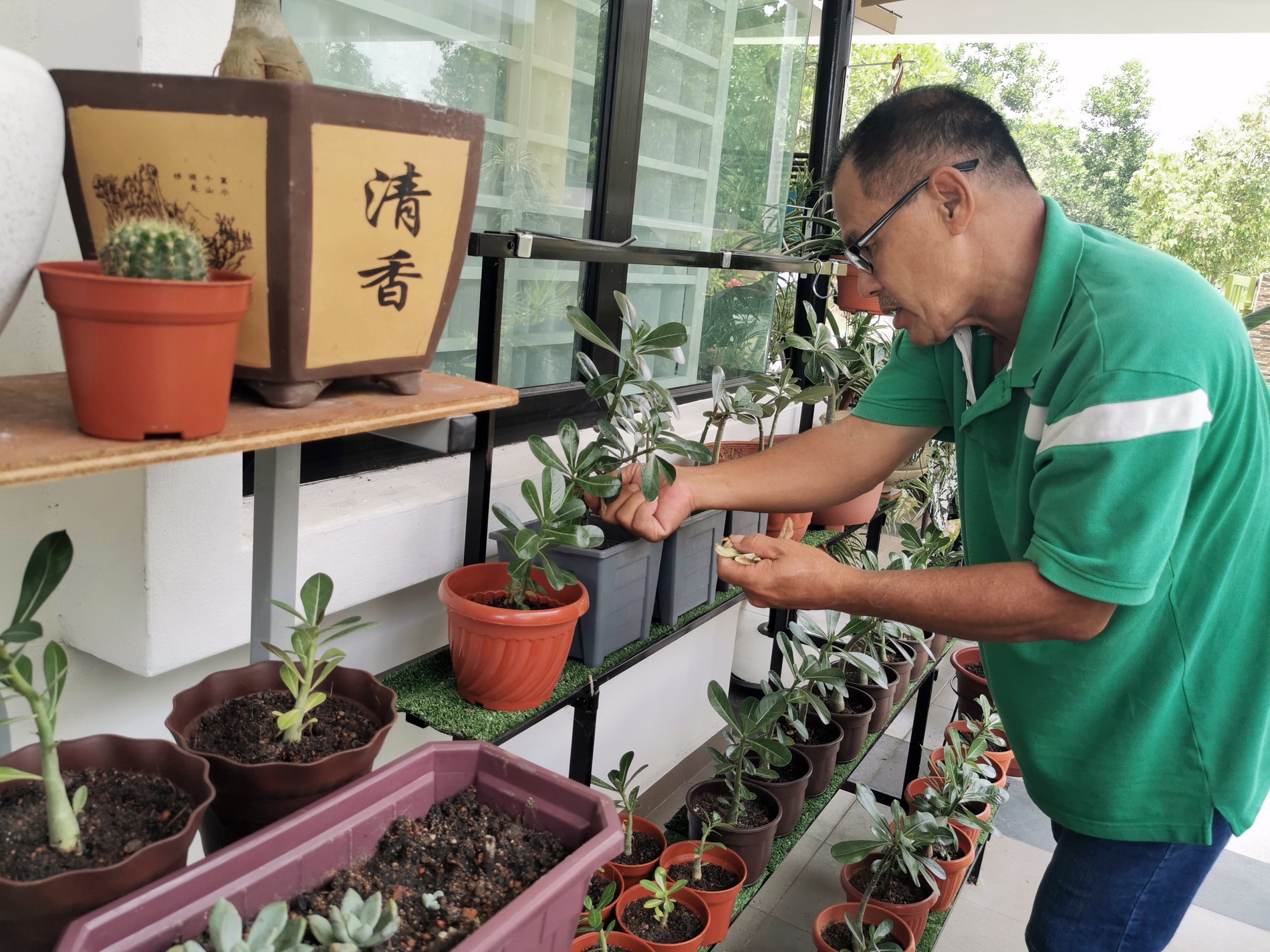 东：疫情期间学校不能开课，学生只能居家学习，食堂不能营业，致使业者在家种花打发时间。
