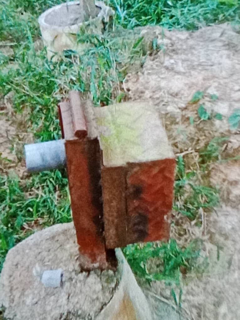 东:陈朝松呼吁遭偷果小园主报警