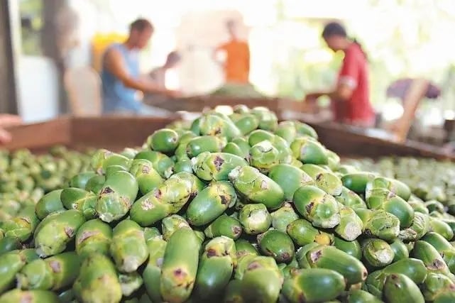 中广电总局要求停止宣传推销槟榔及制品