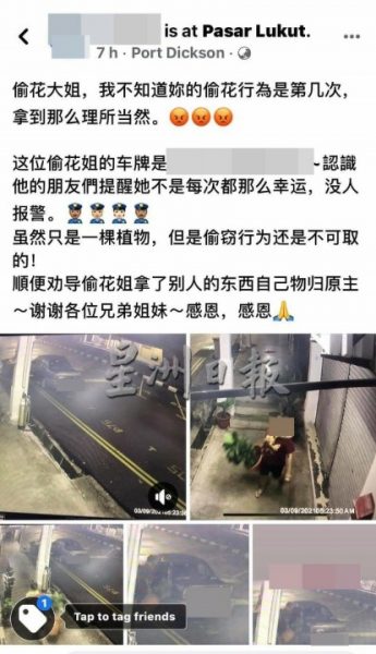 供fb:经济不景气,盆栽也要偷?业者公布cctv,家属火速物归原主