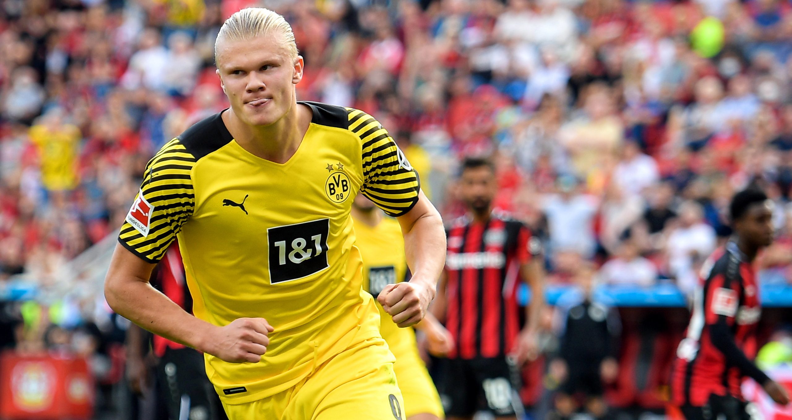 哈兰德轰2球率“蜂”逆转药厂 狼堡开局4连胜领跑