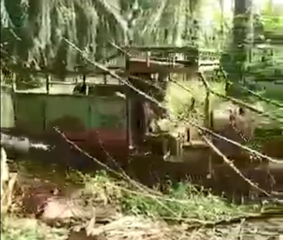 国︰★求真︰柔佛三合港园坵出现“鬼罗里”?!员工︰园坵没使用片中罗里载油棕