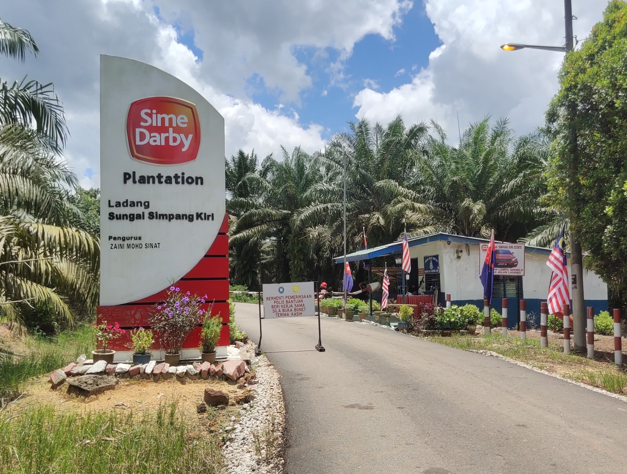 国︰★求真︰柔佛三合港园坵出现“鬼罗里”?!员工︰园坵没使用片中罗里载油棕