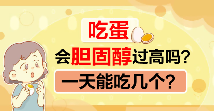外科专科医生白映俞/吃蛋会胆固醇过高吗?一天能吃几个?