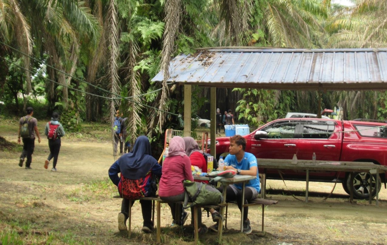 大都会5／林良发：武来岸茅草山开放／3图