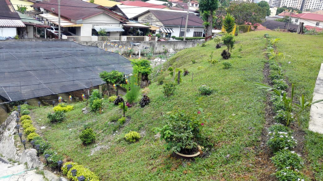 大都会/封底主/安新华小山坡下荒废多年的旧教室地段已进行美化及开辟为学校菜园