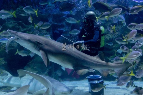 大都会/封底副文/画页-Aquaria KLCC