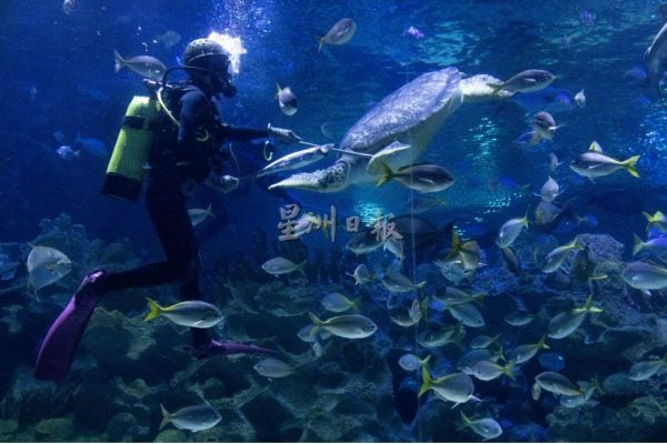 大都会/封底副文/画页-Aquaria KLCC