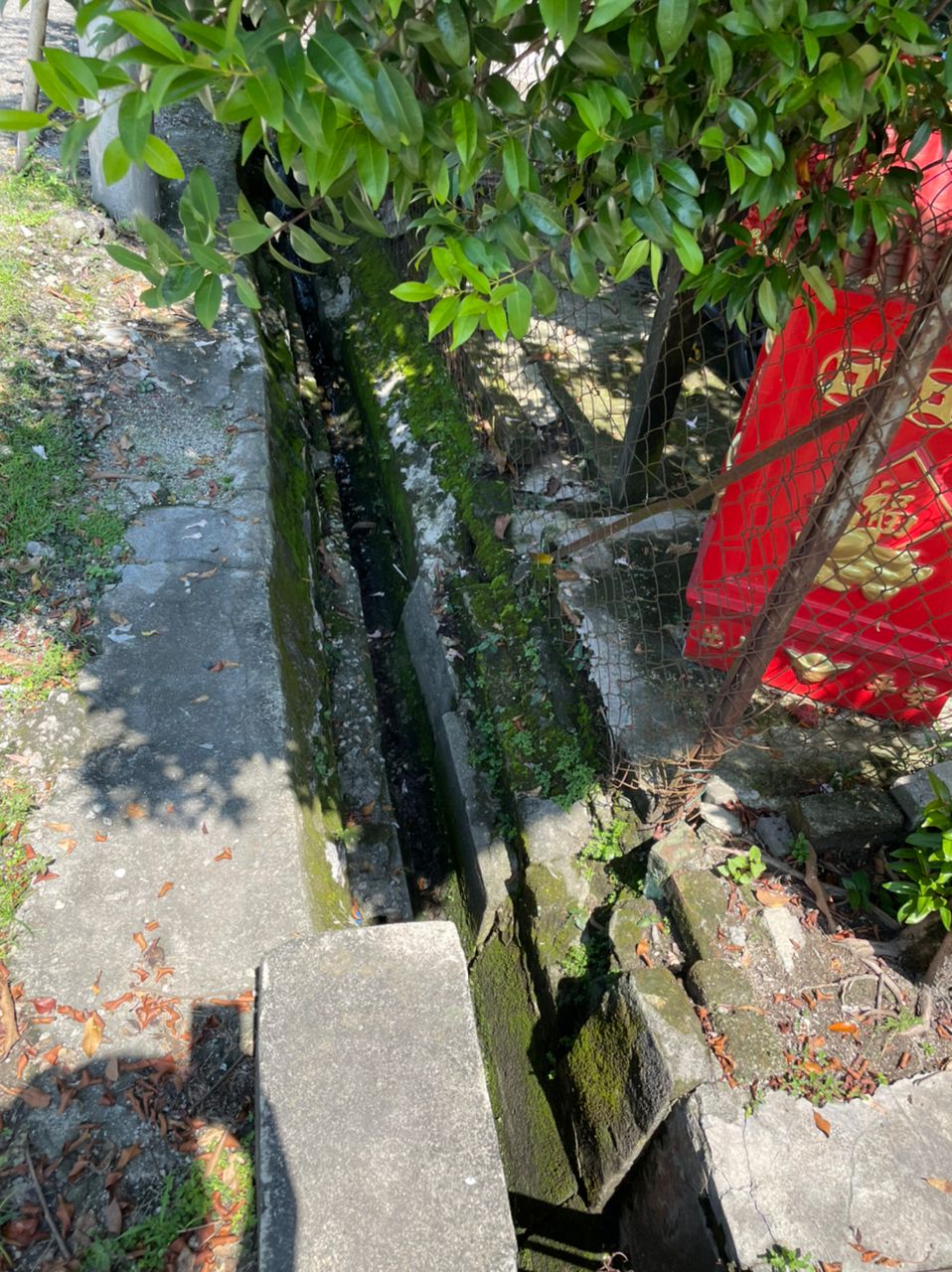 大都会/巡视增江民生问题/9图