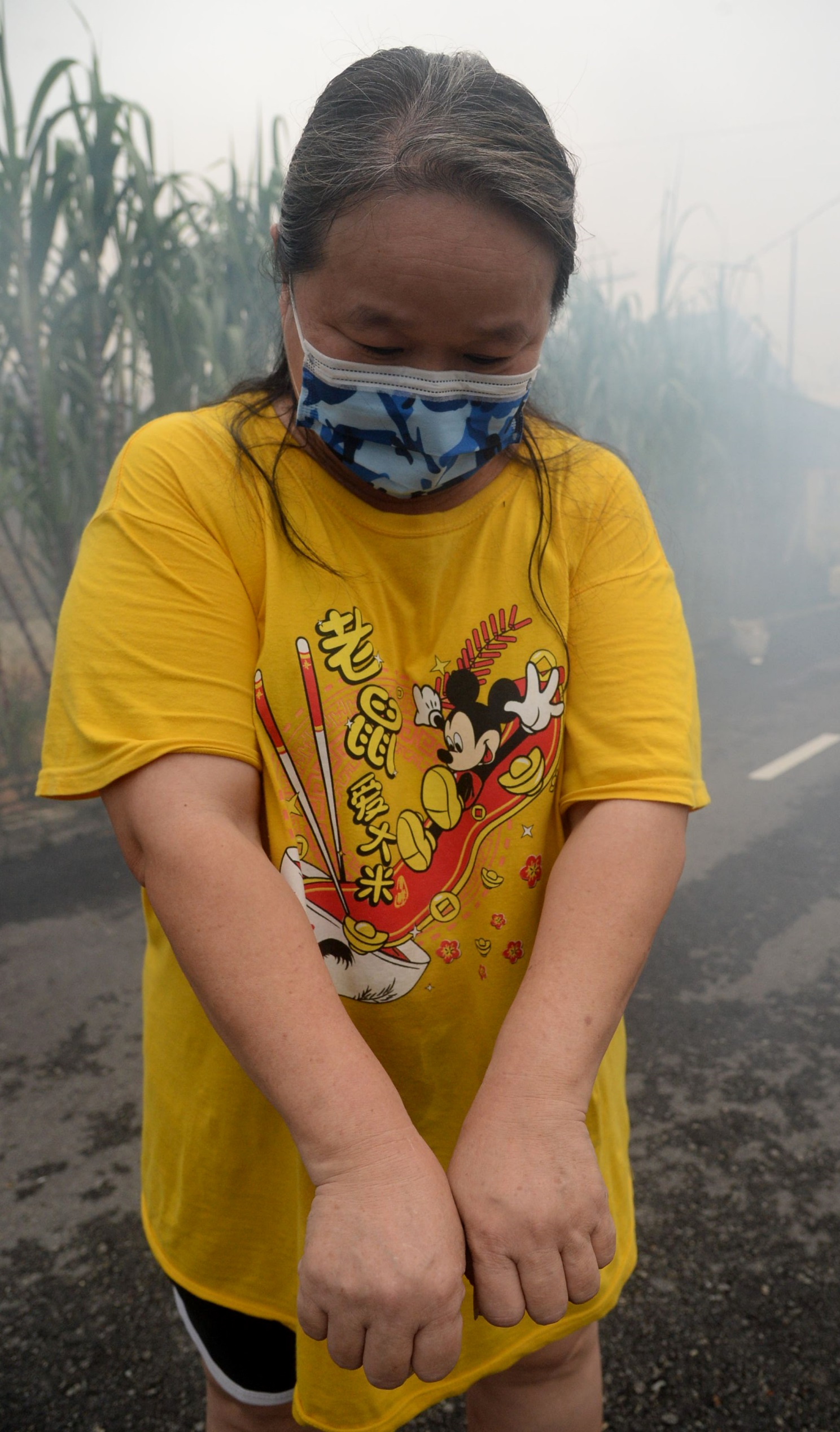 大都会/ME02头/欧阳捍华有关居民患基孔亚蚊症而喷蚊雾 6图