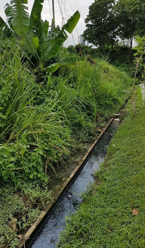  大都会/ME03头/拨款百万建沟/6图