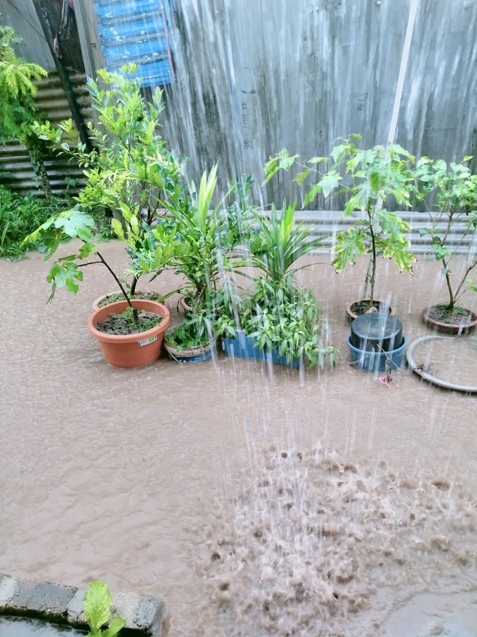  大都会/ME03头/拨款百万建沟/6图