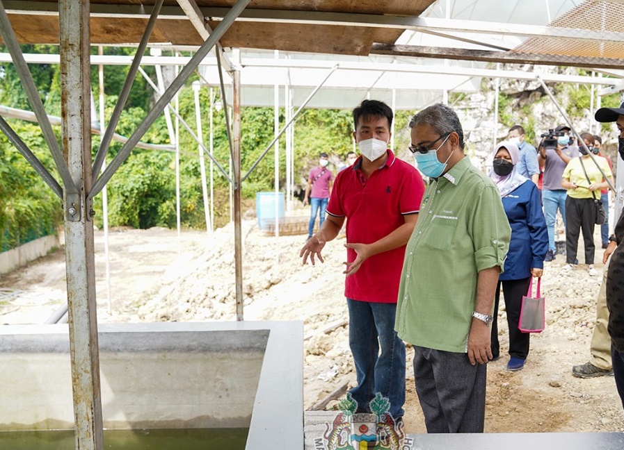 大霹雳时事焦点／有意进行城市农耕菜园 10月1日起可向怡市政厅申请