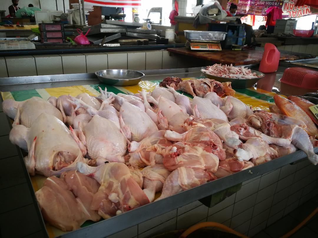 大霹雳时事焦点/鸡价节节升达到历来新高 陈伟鹏:近期料继续在高价位