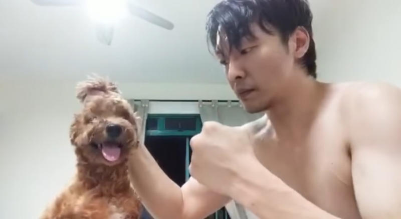 把狗当沙包打拍虐狗视频 男子认4罪下月7日下判