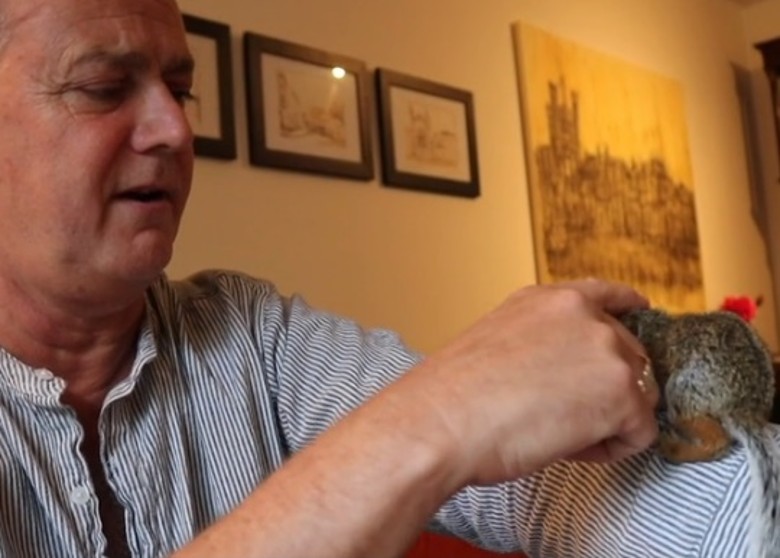 拼盘 2图／松鼠宝宝遭生母遗弃　获暖男保母照顾