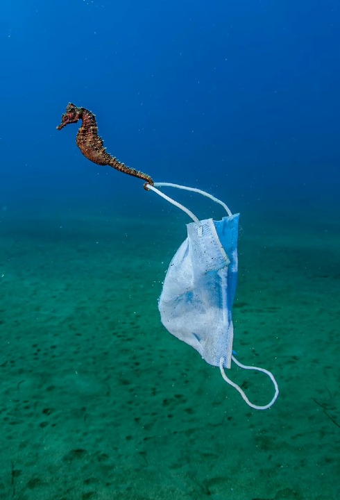 拼盘 海洋摄影大赛获奖作品揭露海洋垃圾之忧