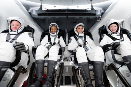 拼盘 创造太空历史 SpaceX将送首个全平民机组进入太空轨道
