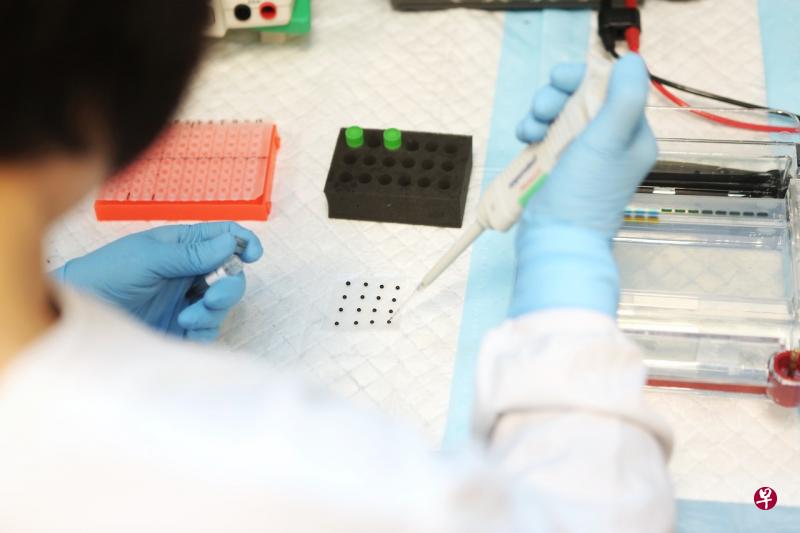 新加坡再有3人死于冠病并发症