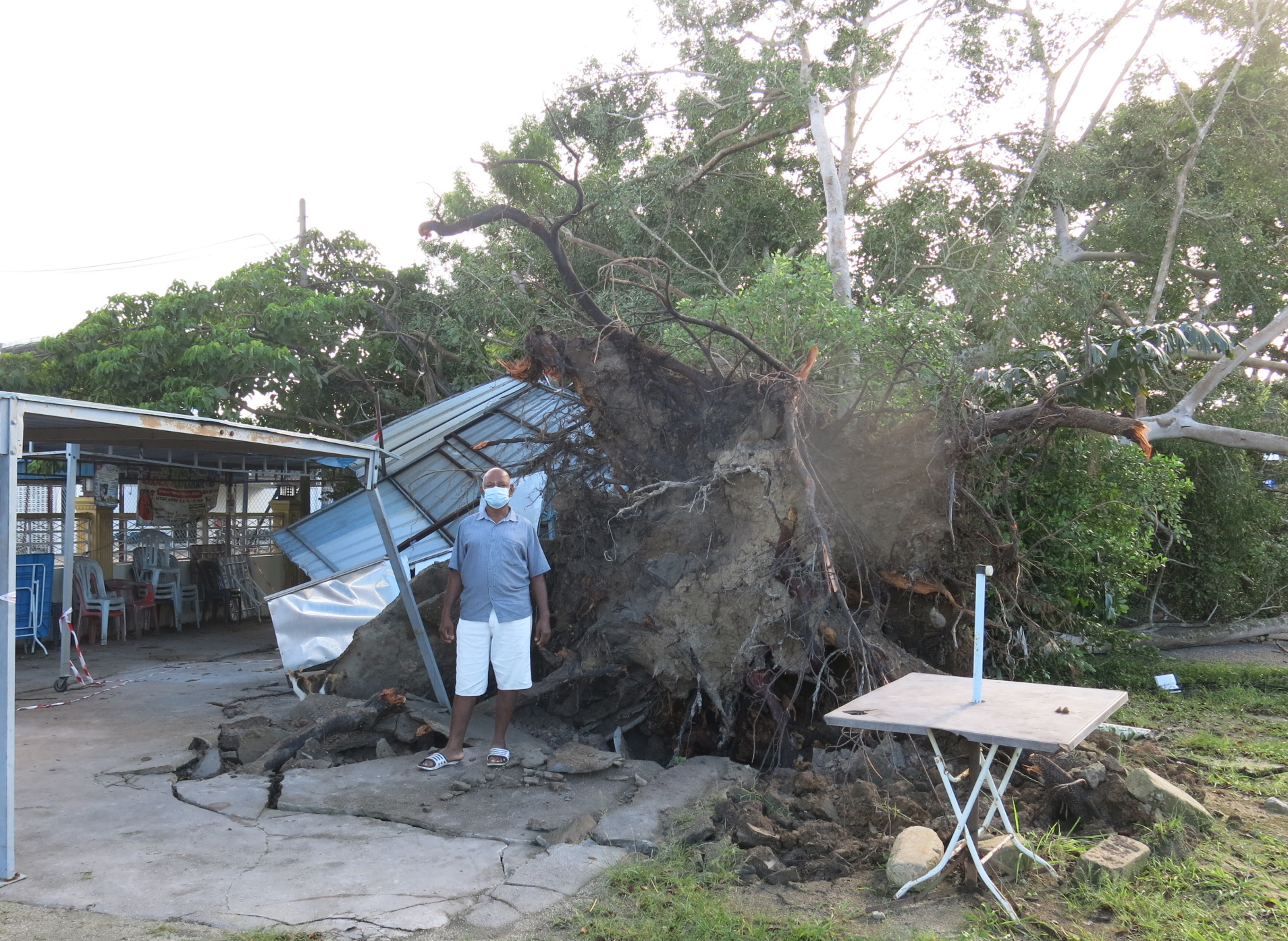 曼绒狂风大雨多处倒树 摧毁建筑 农作物