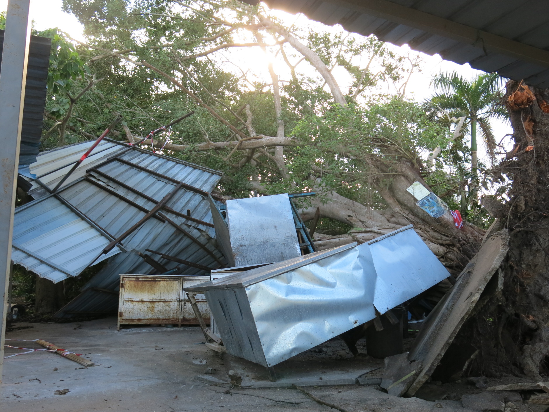 曼绒狂风大雨多处倒树 摧毁建筑 农作物