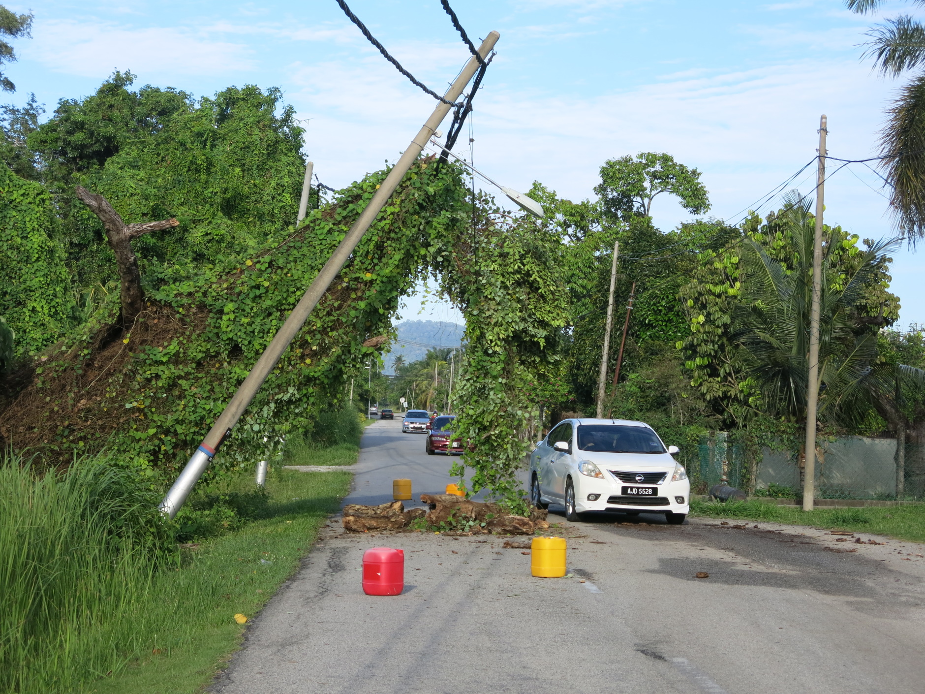 曼绒狂风大雨多处倒树 摧毁建筑 农作物
