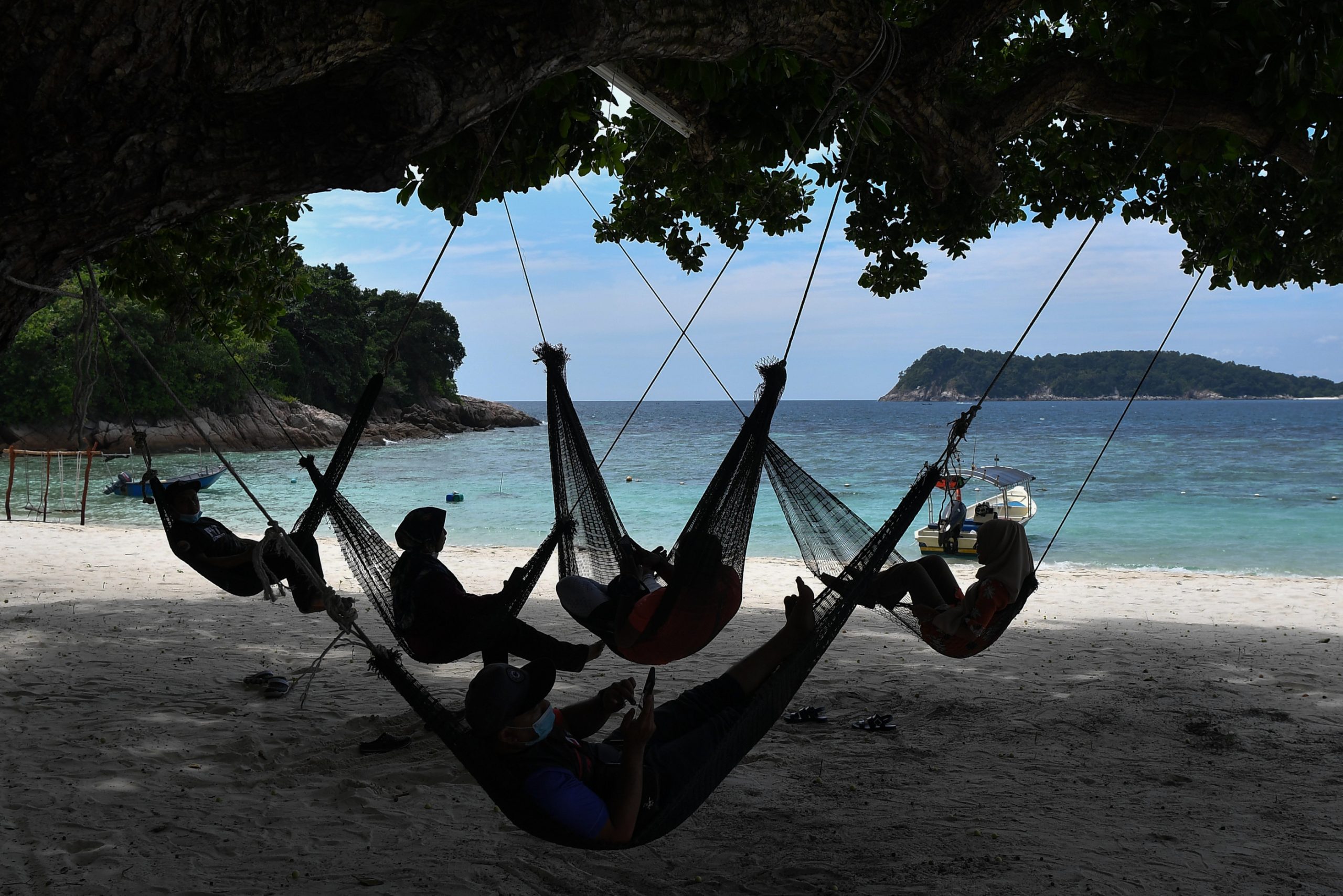 登嘉楼比东岛复苏三开放了