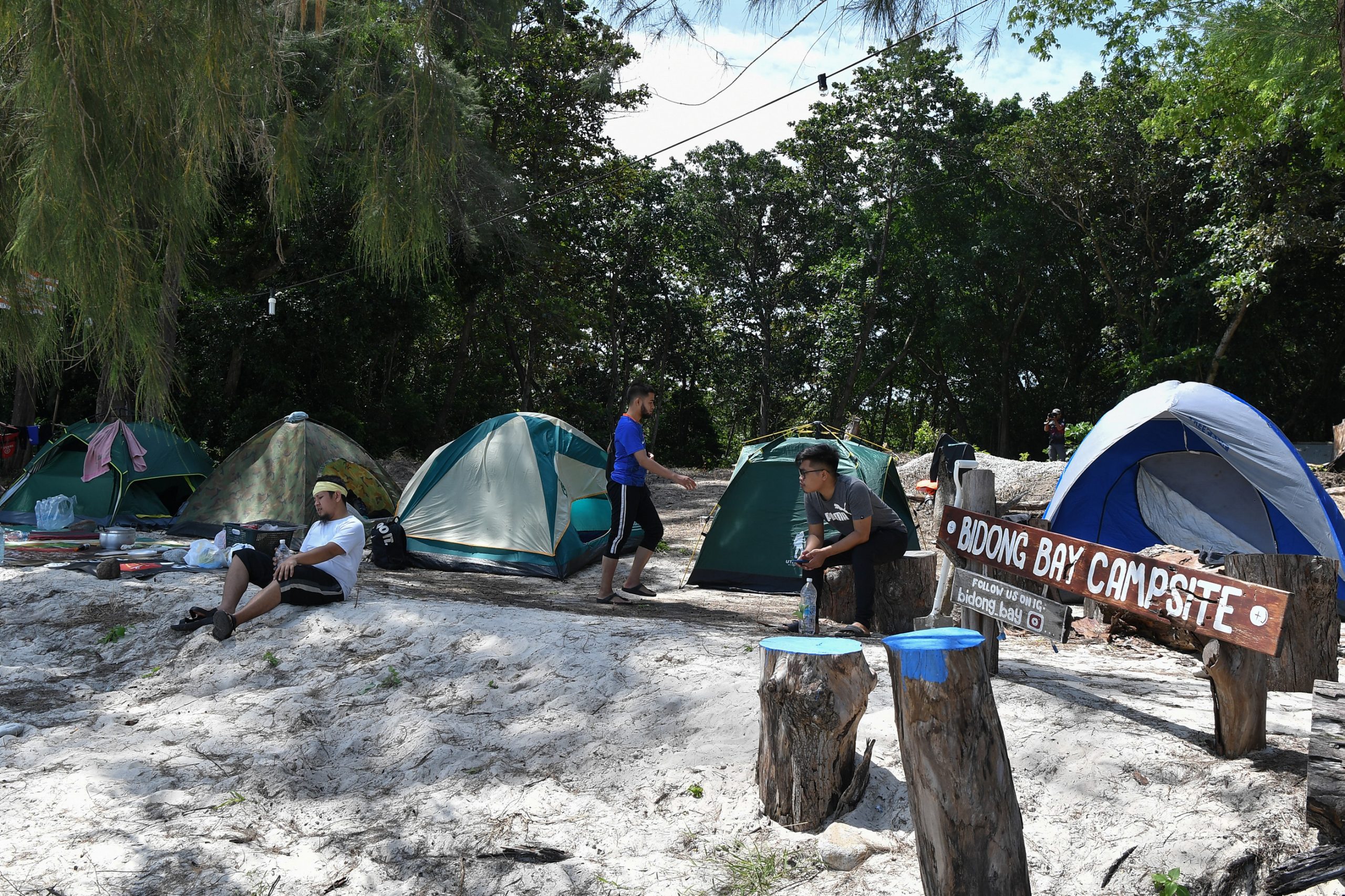 登嘉楼比东岛复苏三开放了