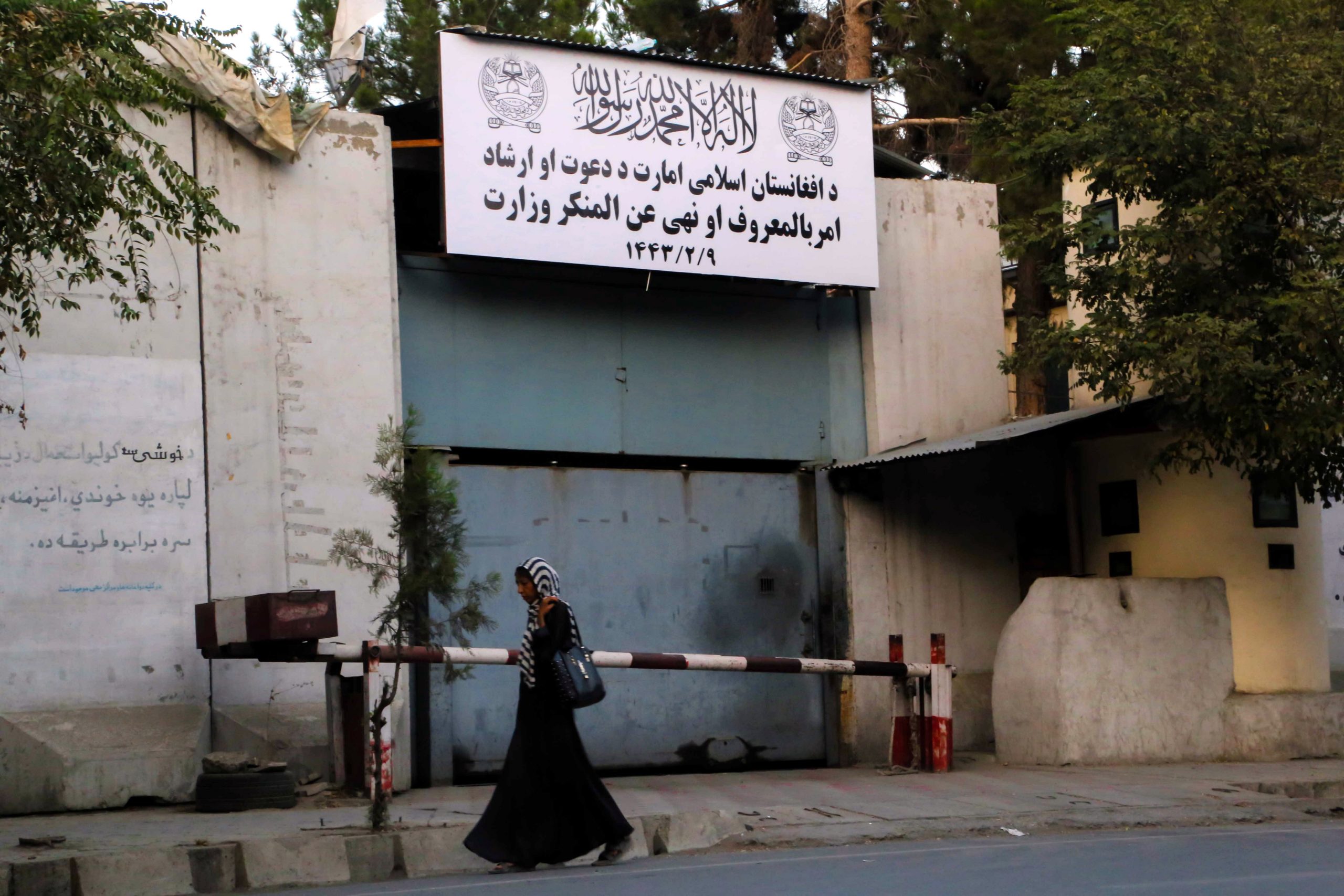  看世界   阿富汗喀布尔政府大部分女员工须留家