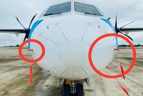 看世界)涉嫌恶意在飞机空速管塞树叶 缅甸当局逮捕5人 