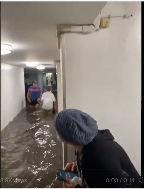 纽约地下室公寓成夺命杀人池