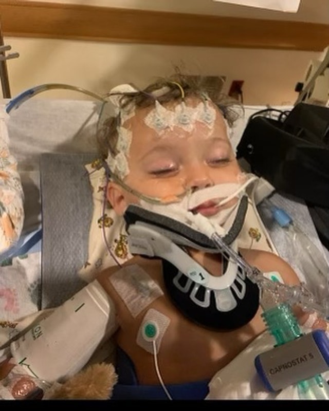 莎朗史东家中再添悲剧·未满1岁侄儿病逝