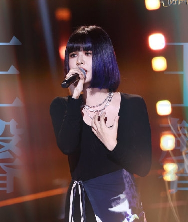 遭网络歌手淘汰.韦礼安《好声音》止步11强