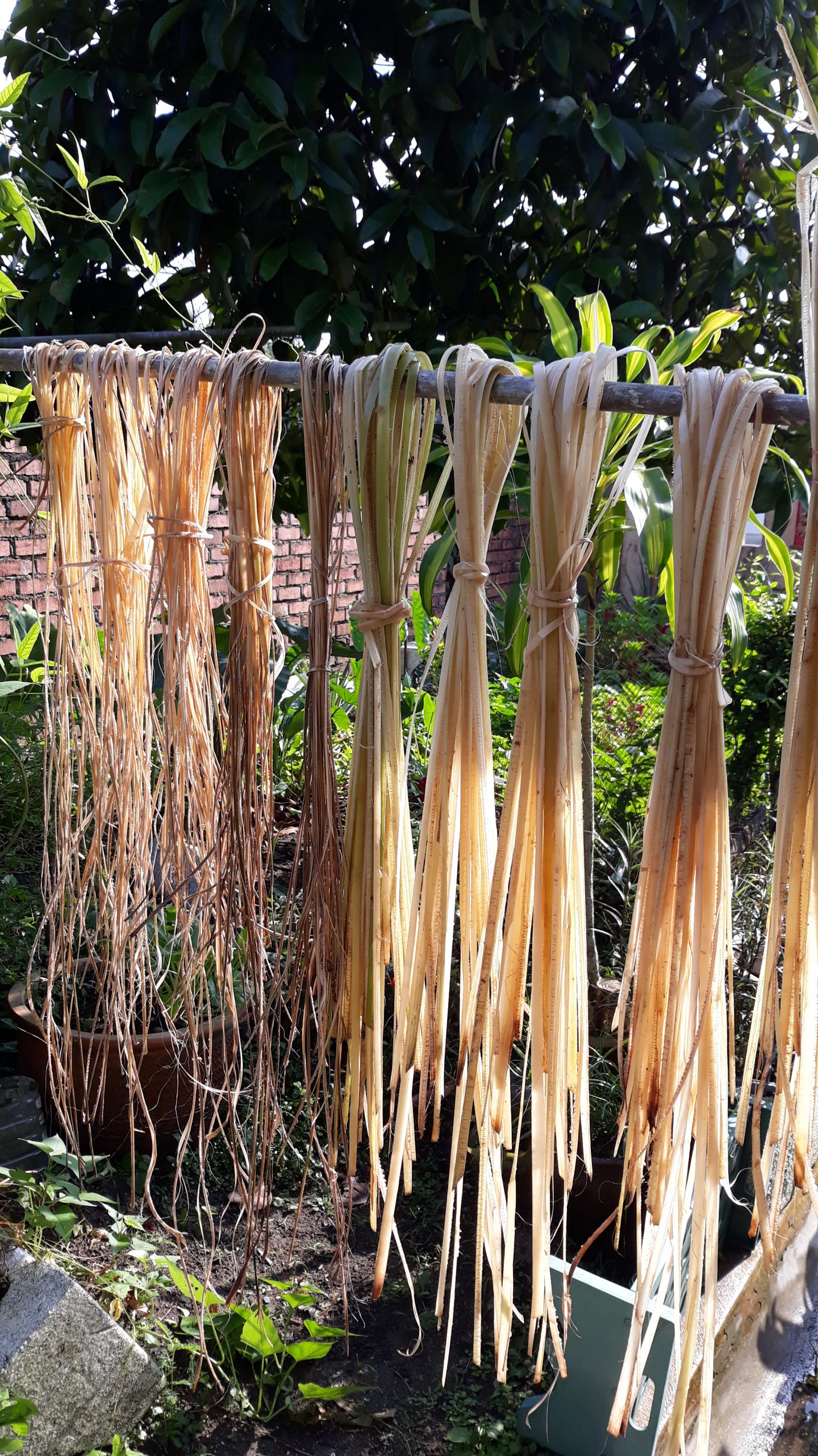 重拾新村生活法/自制草绳