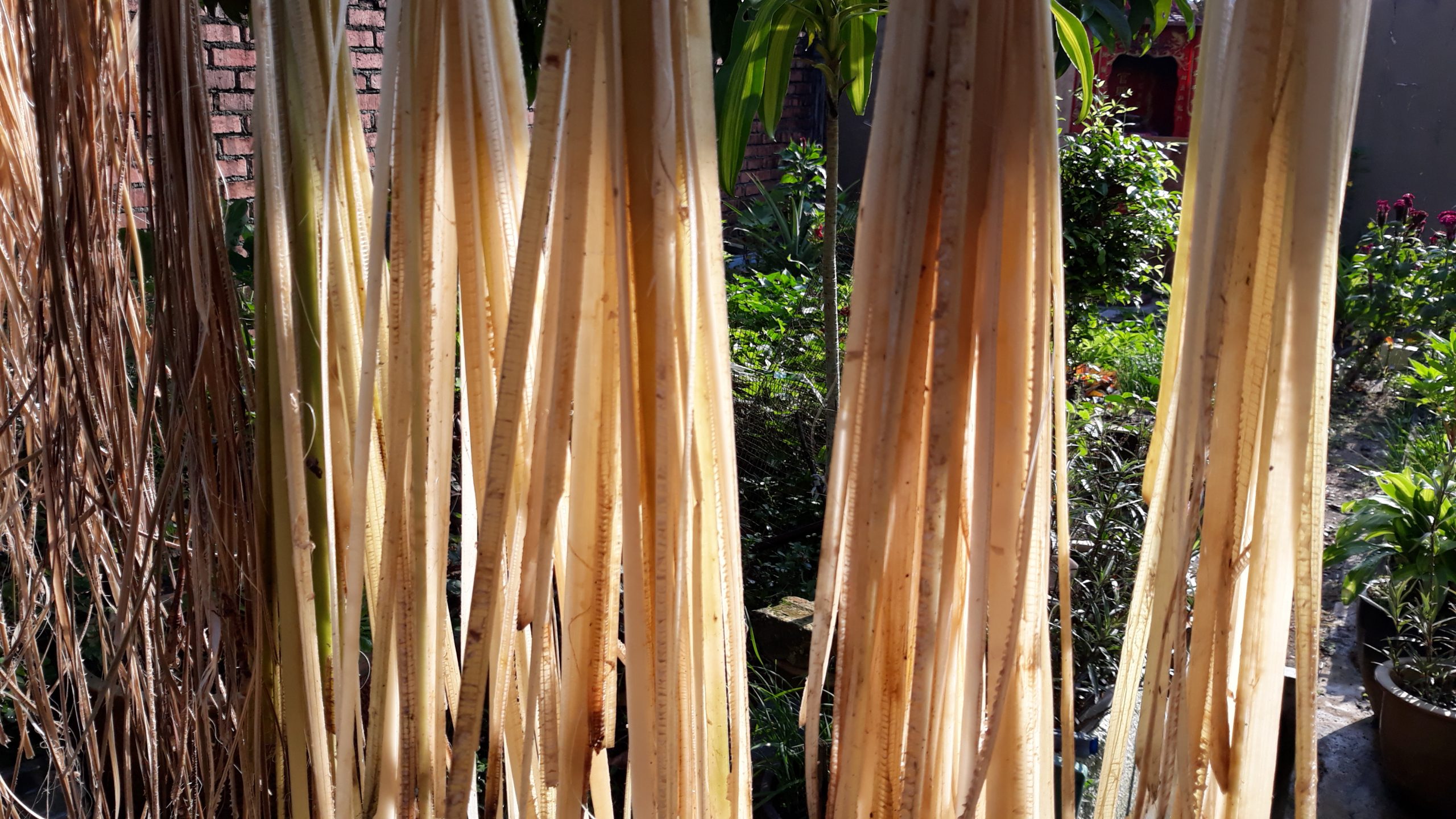 重拾新村生活法/自制草绳