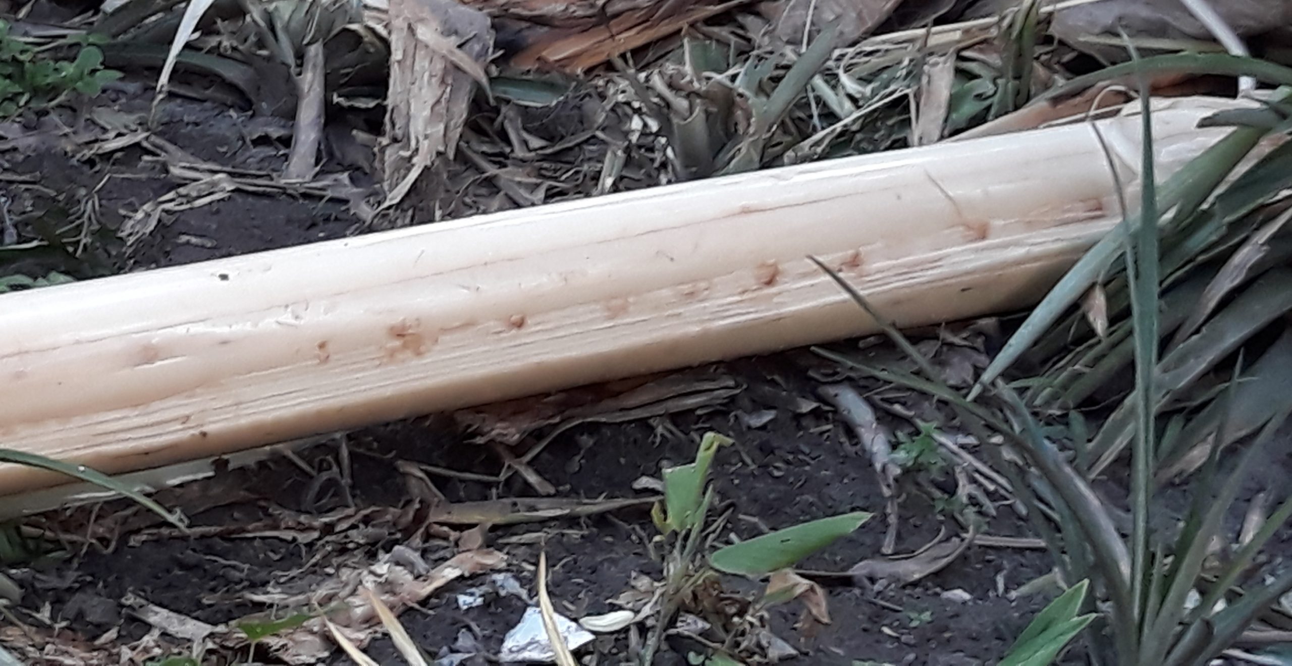 重拾新村生活法/自制草绳