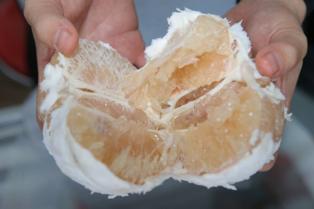 霹／版头／柚子价格偏低 最佳选购时刻