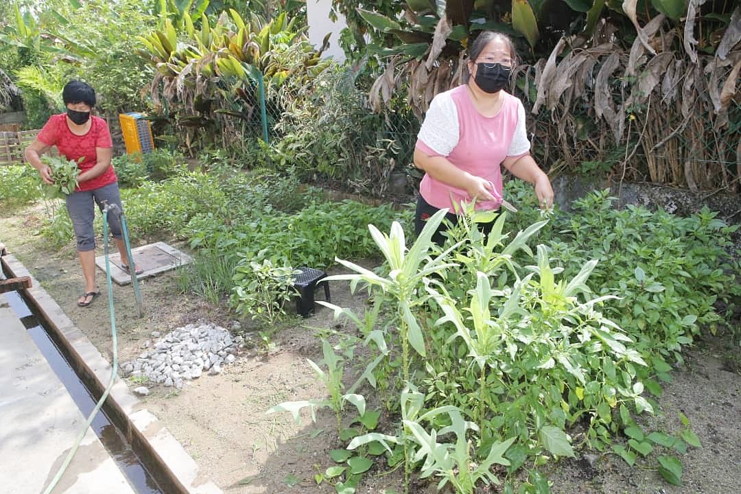 霹:版头/家之主意外死亡,妻儿陷困