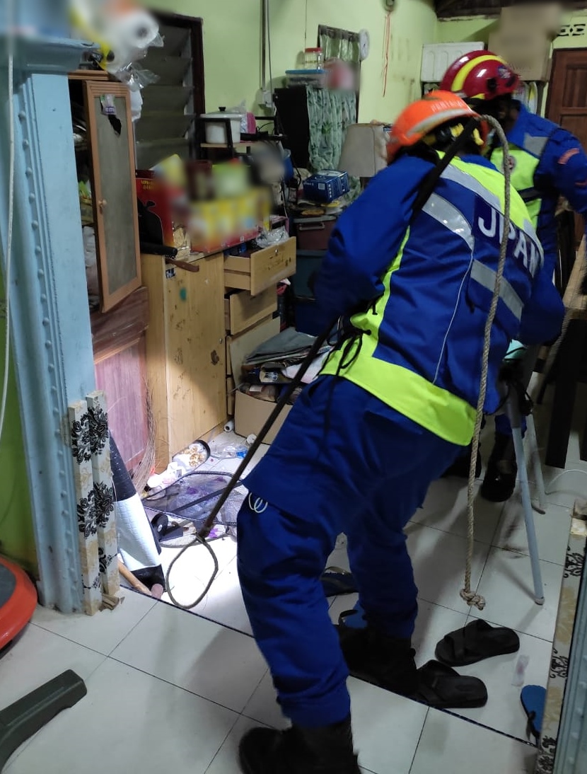(古城版)眼镜蛇王出没居民报警求助