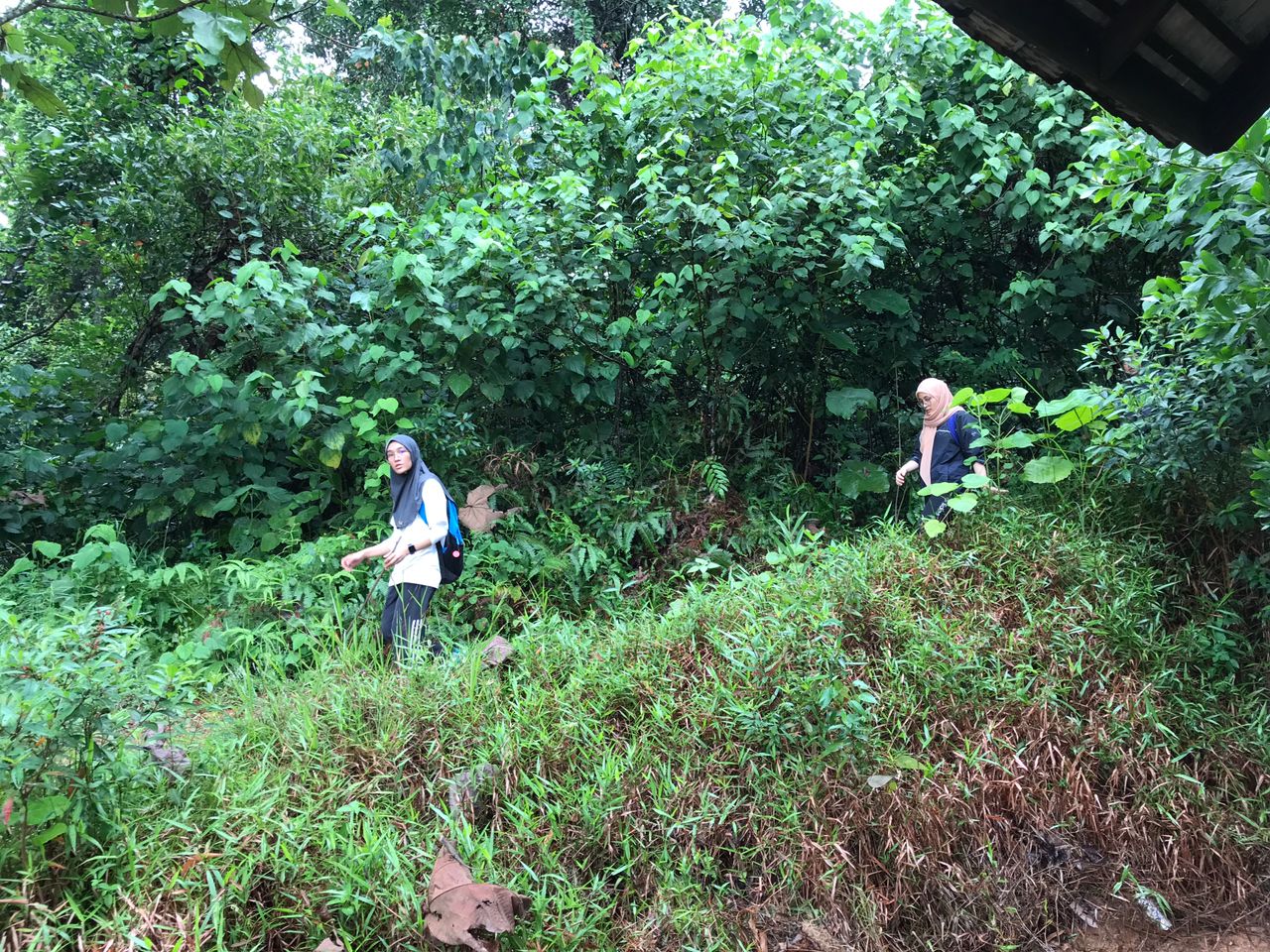 （古城第三版主文）熊山通CP4路线泥土流失 登山客受促留意