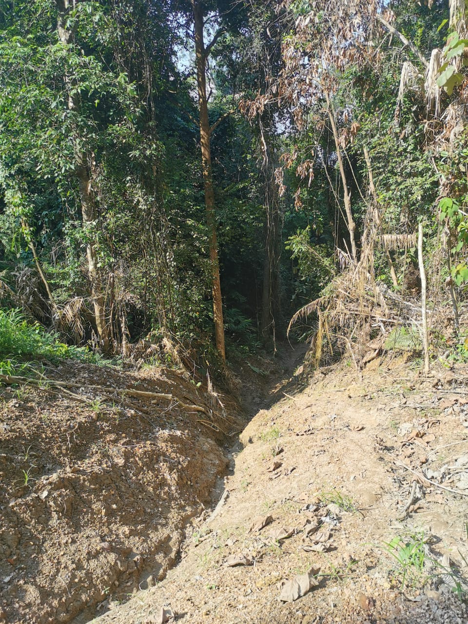 （古城第三版主文）熊山通CP4路线泥土流失 登山客受促留意